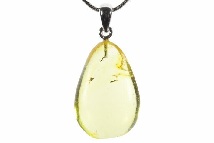 Polished Baltic Amber Pendant (Necklace) - Contains Fly! #352963